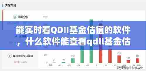 能实时看QDII基金估值的软件，什么软件能查看qdll基金估值 