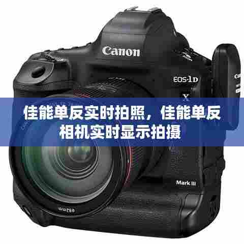 佳能单反实时拍照，佳能单反相机实时显示拍摄 