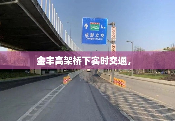 金丰高架桥下实时交通,