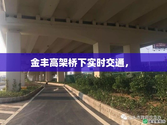 金丰高架桥下实时交通,