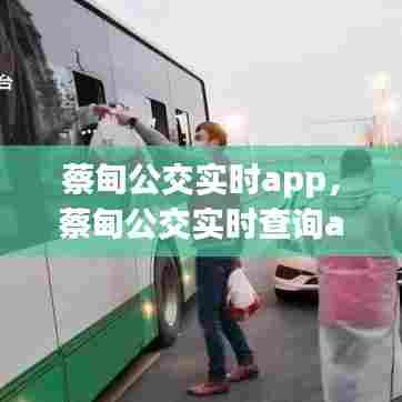 蔡甸公交实时app,蔡甸公交实时查询app