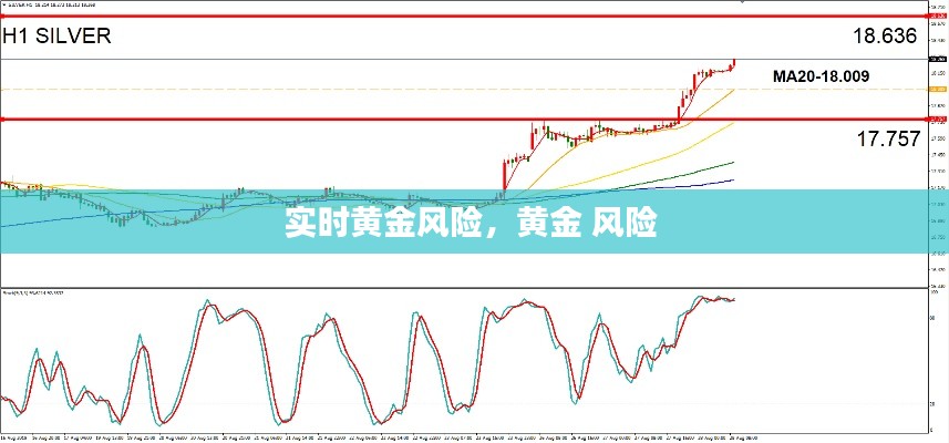 实时黄金风险,黄金 风险