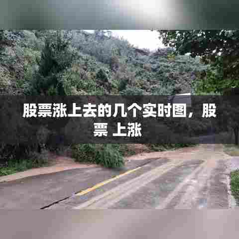 股票涨上去的几个实时图，股票 上涨 
