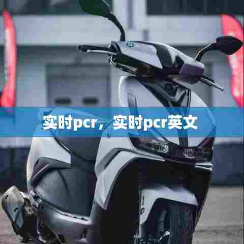 实时pcr,实时pcr英文