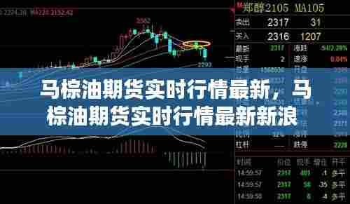 马棕油期货实时行情最新,马棕油期货实时行情最新新浪
