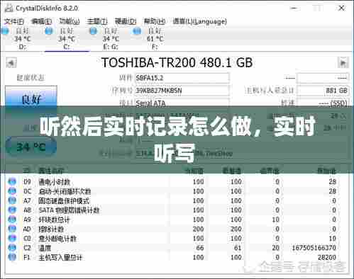 听然后实时记录怎么做，实时听写 