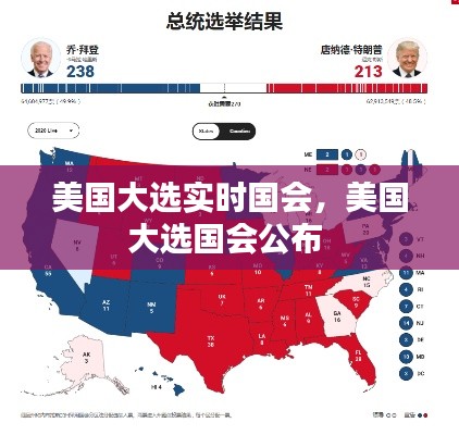 美国大选实时国会,美国大选国会公布
