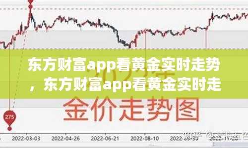 东方财富app看黄金实时走势,东方财富app看黄金实时走势