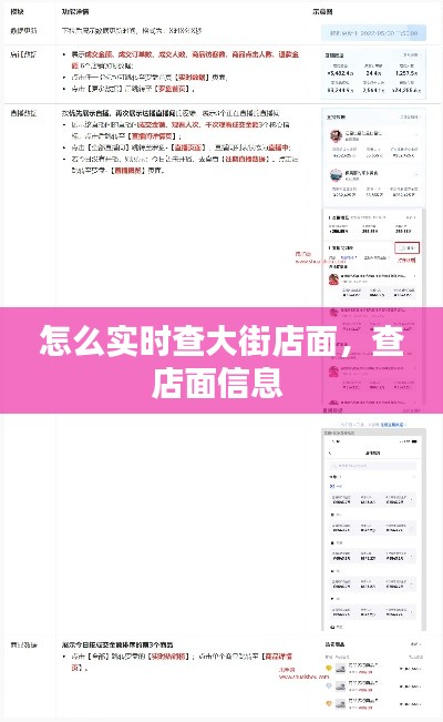 怎么实时查大街店面,查店面信息
