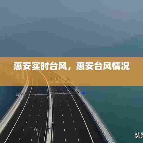 惠安实时台风,惠安台风情况