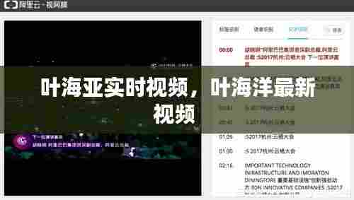 叶海亚实时视频,叶海洋最新视频