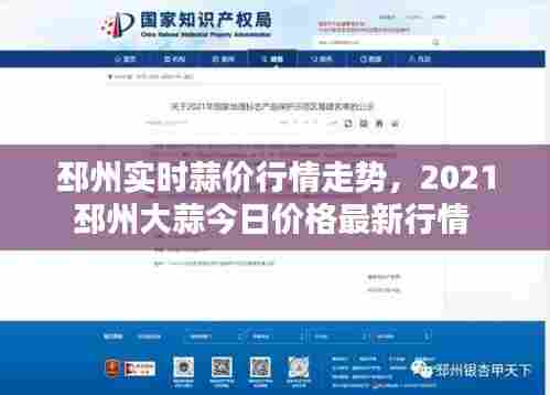 邳州实时蒜价行情走势，2021邳州大蒜今日价格最新行情 