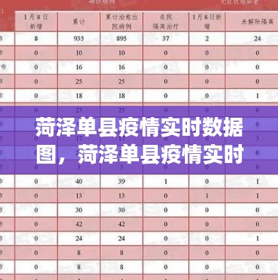 菏泽单县疫情实时数据图,菏泽单县疫情实时数据图表