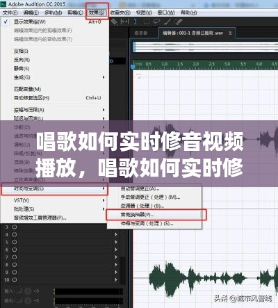 唱歌如何实时修音视频播放，唱歌如何实时修音视频播放器 