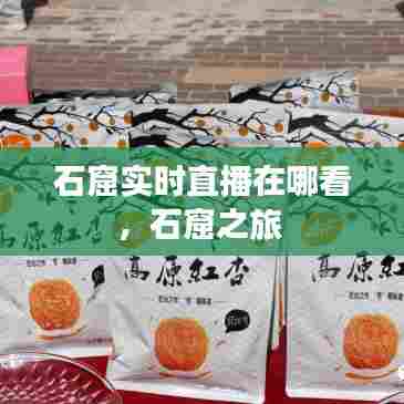 石窟实时直播在哪看，石窟之旅 