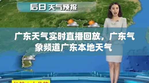 广东天气实时直播回放,广东气象频道广东本地天气
