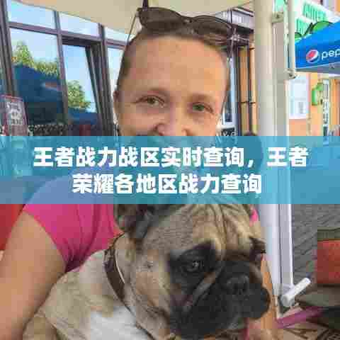 王者战力战区实时查询，王者荣耀各地区战力查询 