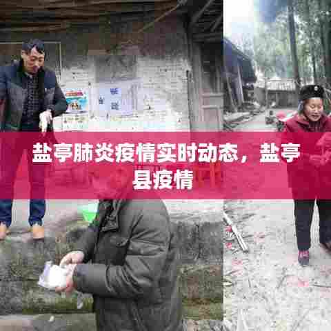 盐亭肺炎疫情实时动态,盐亭县疫情