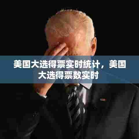美国大选得票实时统计，美国大选得票数实时 