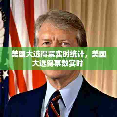 美国大选得票实时统计,美国大选得票数实时