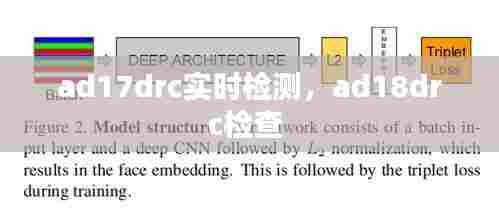 ad17drc实时检测,ad18drc检查