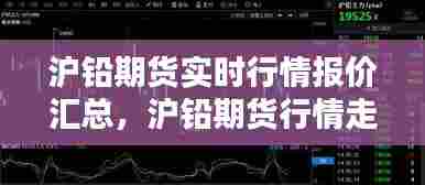 沪铅期货实时行情报价汇总，沪铅期货行情走势图金投网 