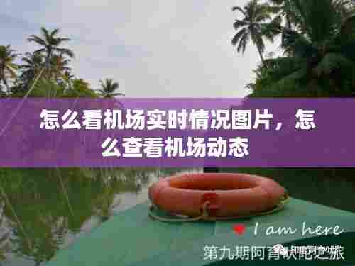 怎么看机场实时情况图片,怎么查看机场动态