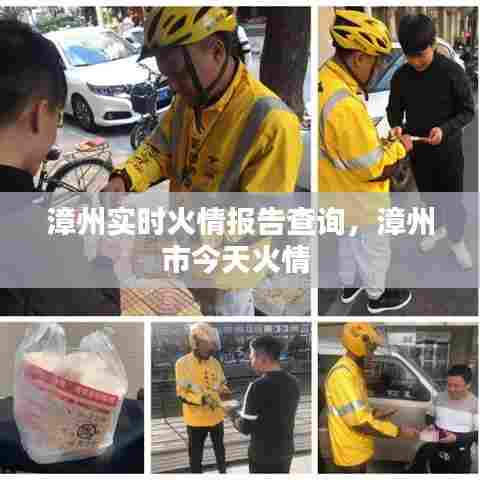 漳州实时火情报告查询,漳州市今天火情