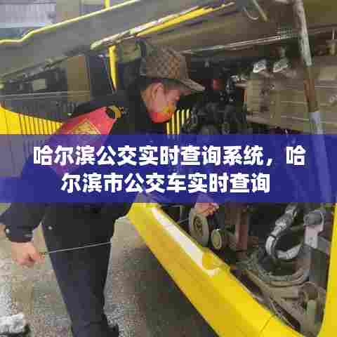 哈尔滨公交实时查询系统,哈尔滨市公交车实时查询