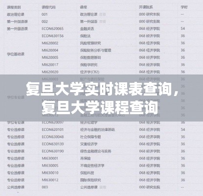 复旦大学实时课表查询,复旦大学课程查询