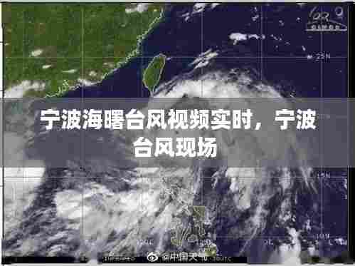 宁波海曙台风视频实时，宁波台风现场 