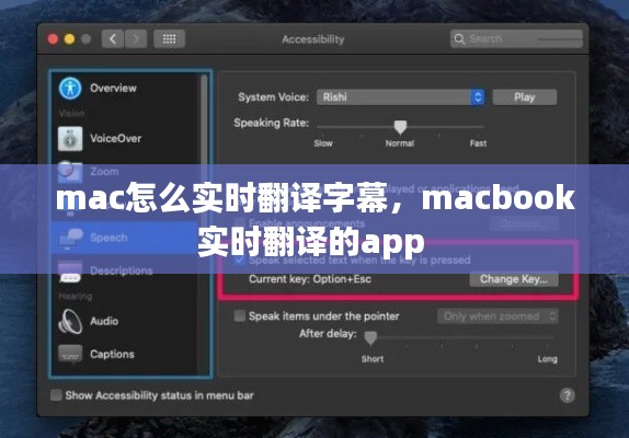 mac怎么实时翻译字幕,macbook实时翻译的app
