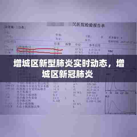 增城区新型肺炎实时动态,增城区新冠肺炎