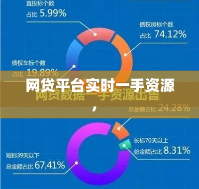 网贷平台实时一手资源,