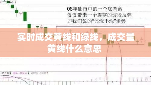 实时成交黄线和绿线,成交量黄线什么意思