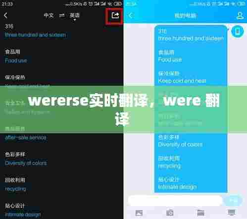 wererse实时翻译，were 翻译 