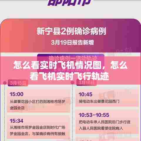 怎么看实时飞机情况图,怎么看飞机实时飞行轨迹