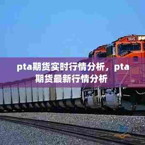 pta期货实时行情分析，pta期货最新行情分析 