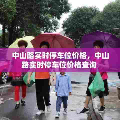 中山路实时停车位价格，中山路实时停车位价格查询 