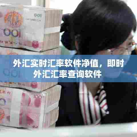 外汇实时汇率软件净值，即时外汇汇率查询软件 