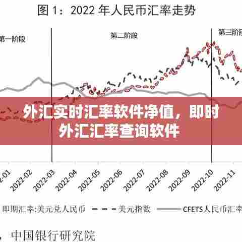 外汇实时汇率软件净值,即时外汇汇率查询软件