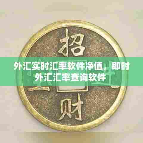 外汇实时汇率软件净值,即时外汇汇率查询软件