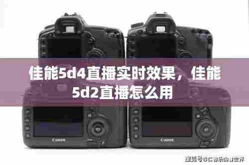 佳能5d4直播实时效果,佳能5d2直播怎么用