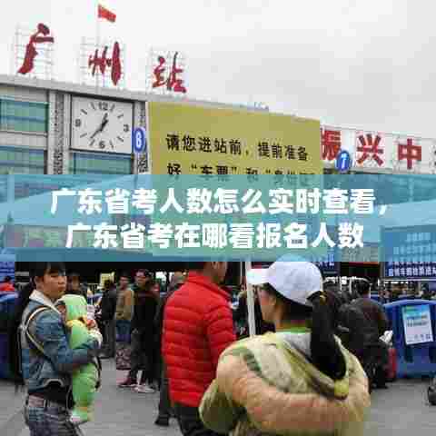 广东省考人数怎么实时查看，广东省考在哪看报名人数 