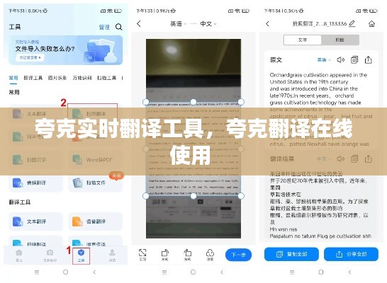夸克实时翻译工具,夸克翻译在线使用