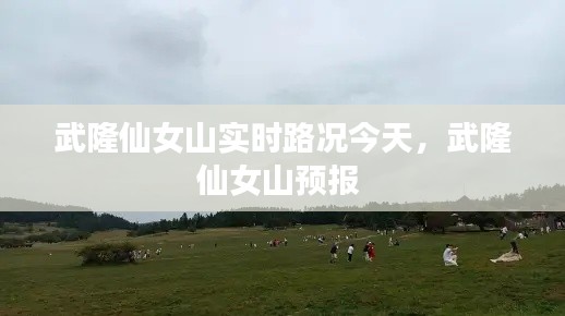 武隆仙女山实时路况今天,武隆仙女山预报