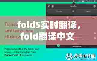 fold5实时翻译,fold翻译中文