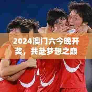 2024澳门六今晚开奖,共赴梦想之巅