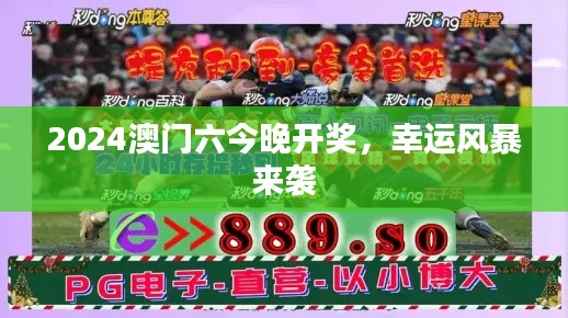 2024澳门六今晚开奖，幸运风暴来袭