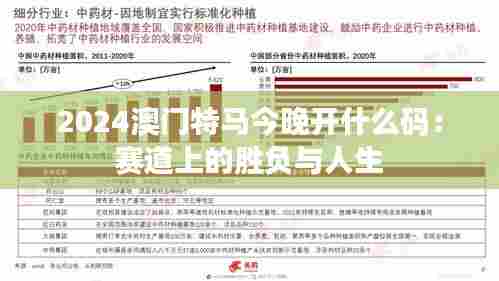2024澳门特马今晚开什么码:赛道上的胜负与人生
